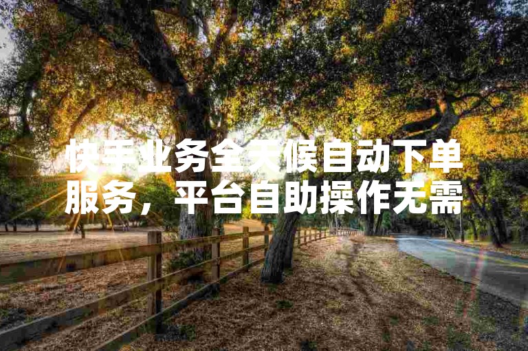 快手业务全天候自动下单服务，平台自助操作无需等待。