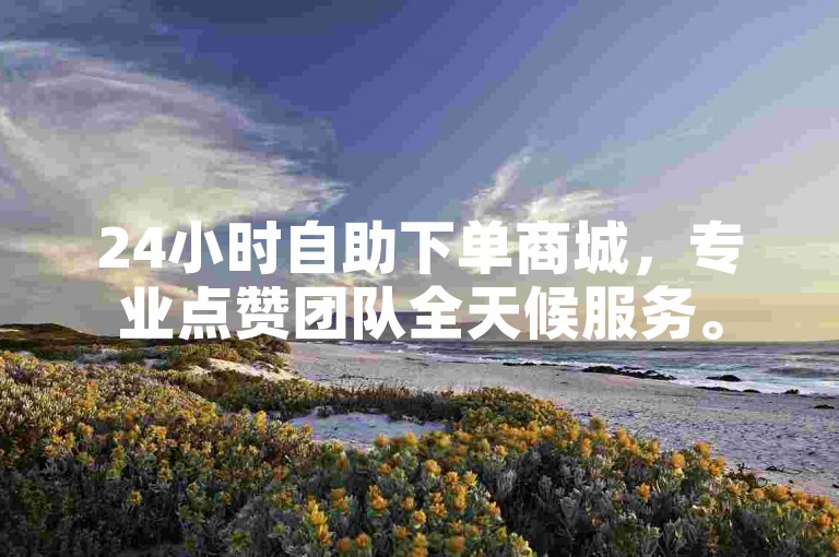 24小时自助下单商城，专业点赞团队全天候服务。