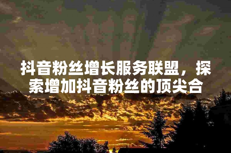 抖音粉丝增长服务联盟，探索增加抖音粉丝的顶尖合作伙伴平台。