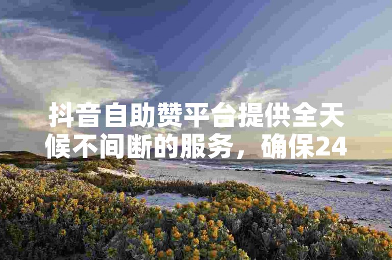 抖音自助赞平台提供全天候不间断的服务，确保24小时内快速发货。