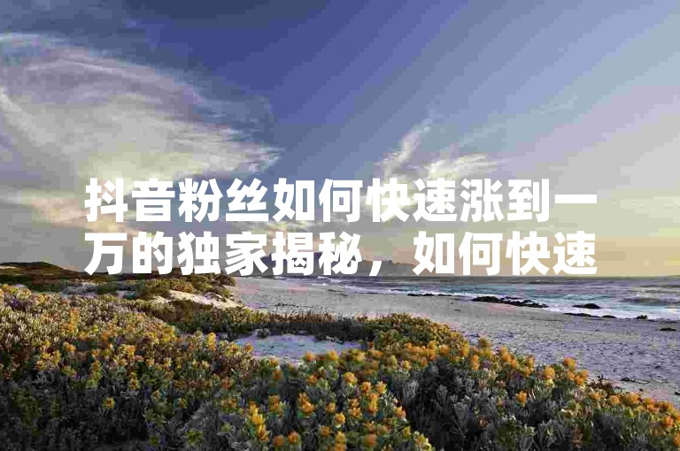 抖音粉丝如何快速涨到一万的独家揭秘，如何快速增加抖音粉丝至一万！2025必学