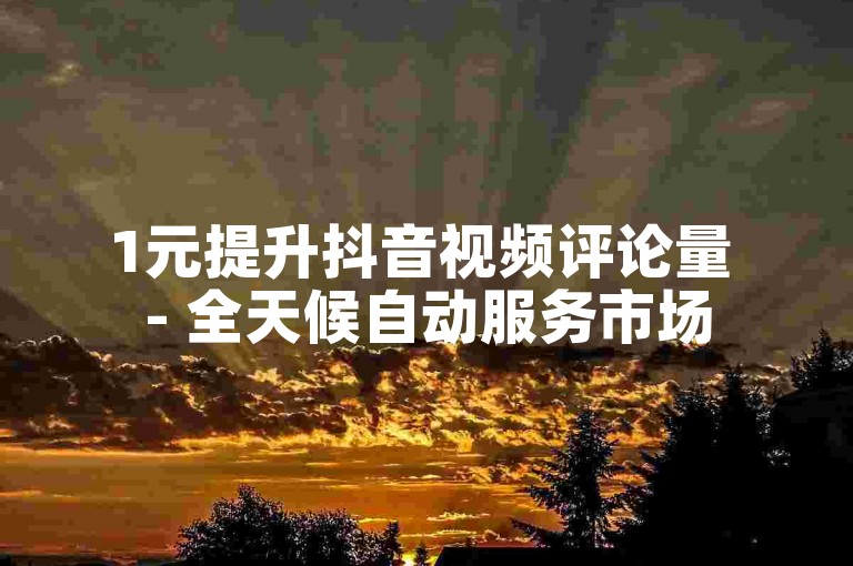 1元提升抖音视频评论量 - 全天候自动服务市场