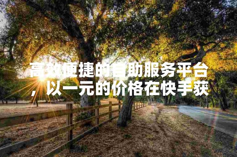 高效便捷的自助服务平台，以一元的价格在快手获得1w真实粉丝且无掉粉风险的秘诀 - 提供ks业务低价自助下单及转发服务 - 支持ks全天自助下单并通过微信支付完成交易。