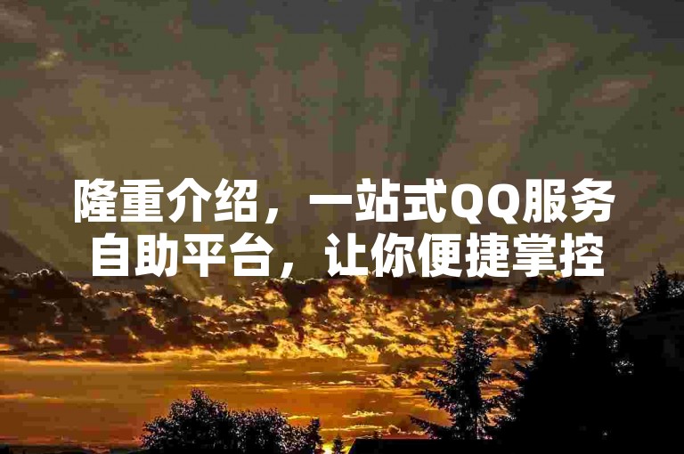 隆重介绍，一站式QQ服务自助平台，让你便捷掌控所有QQ相关业务。