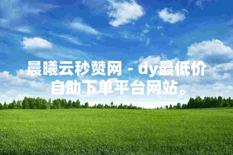 晨曦云秒赞网 - dy最低价自助下单平台网站。