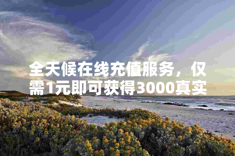 全天候在线充值服务，仅需1元即可获得3000真实粉丝且永久不掉粉 - 快手快币优惠充值平台 - 抖音抖币直充官方网站入口。