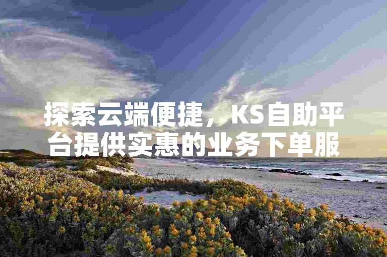 探索云端便捷，KS自助平台提供实惠的业务下单服务。