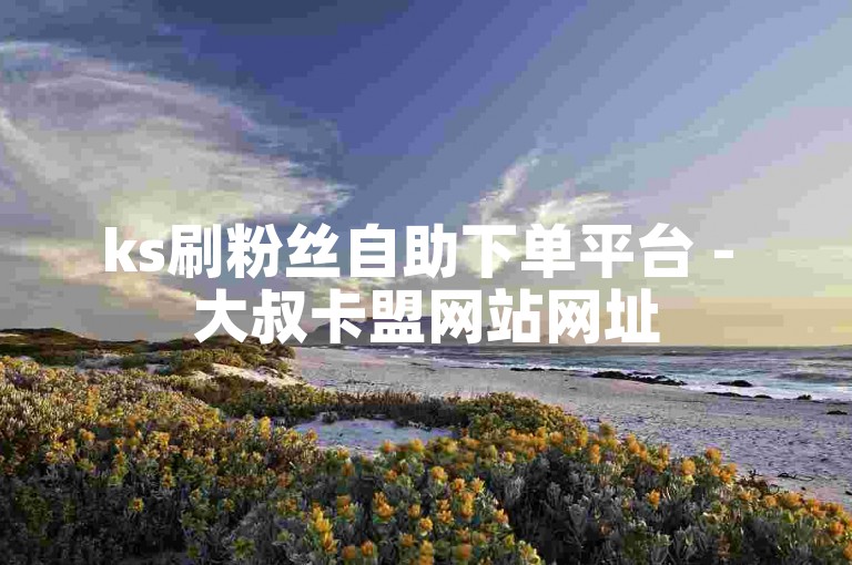 ks刷粉丝自助下单平台 - 大叔卡盟网站网址
