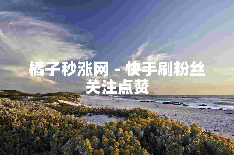 橘子秒涨网 - 快手刷粉丝关注点赞