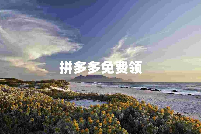拼多多免费领5件商品需要多少人参与，B站业务下单平台有哪些？