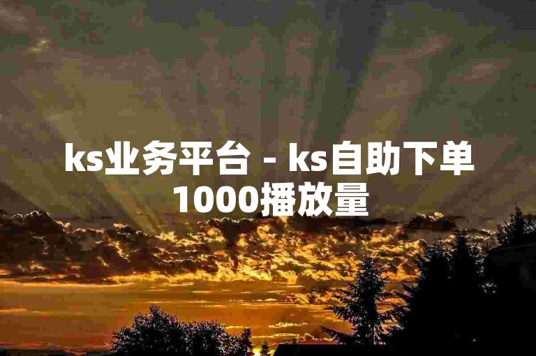ks业务平台 - ks自助下单1000播放量