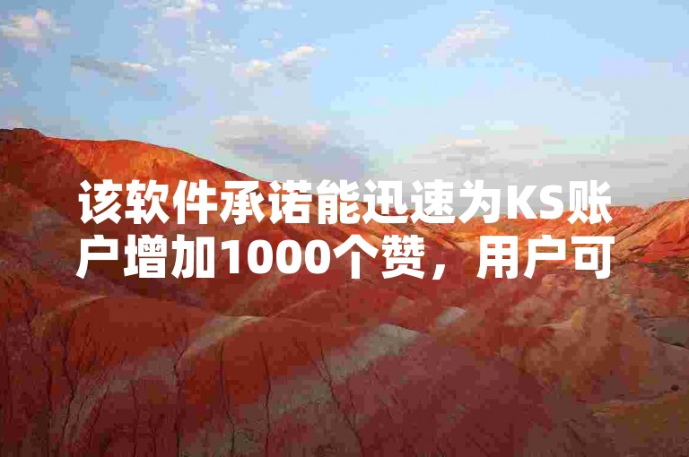 该软件承诺能迅速为KS账户增加1000个赞，用户可通过代刷网站自行下单操作。