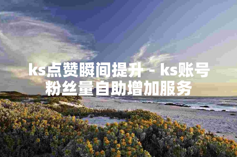 ks点赞瞬间提升 - ks账号粉丝量自助增加服务