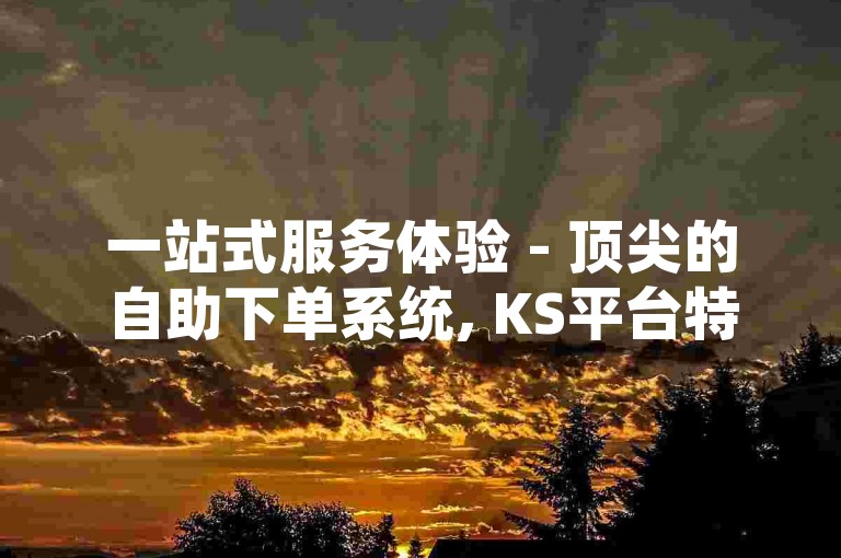 一站式服务体验 - 顶尖的自助下单系统, KS平台特惠双击 - 轻松点赞与下单 - QQ空间优化网站零成本。