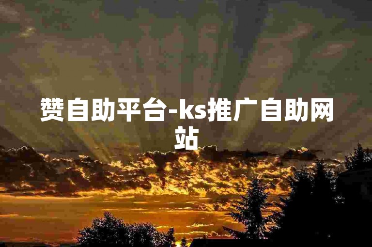 赞自助平台-ks推广自助网站