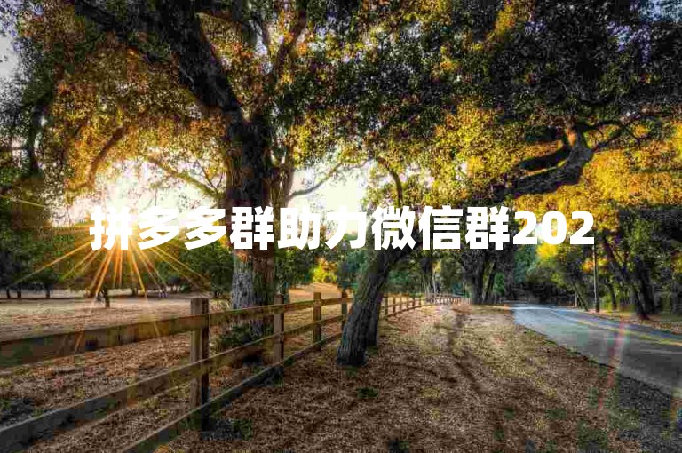 拼多多群助力微信群2025免费拼多多助力网站，让你轻松获得更多助力。
