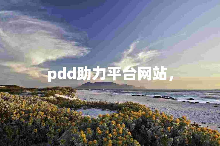 pdd助力平台网站，500有效粉丝一小时搞定。
