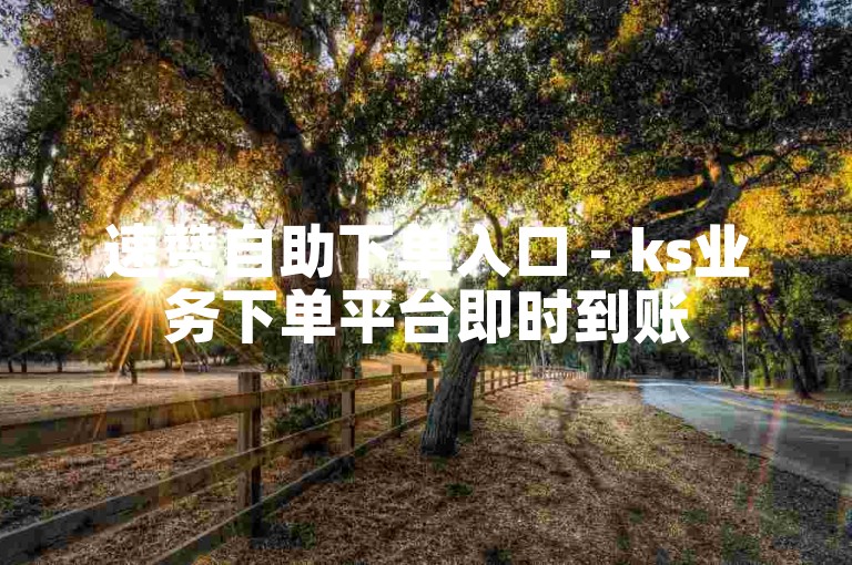 速赞自助下单入口 - ks业务下单平台即时到账
