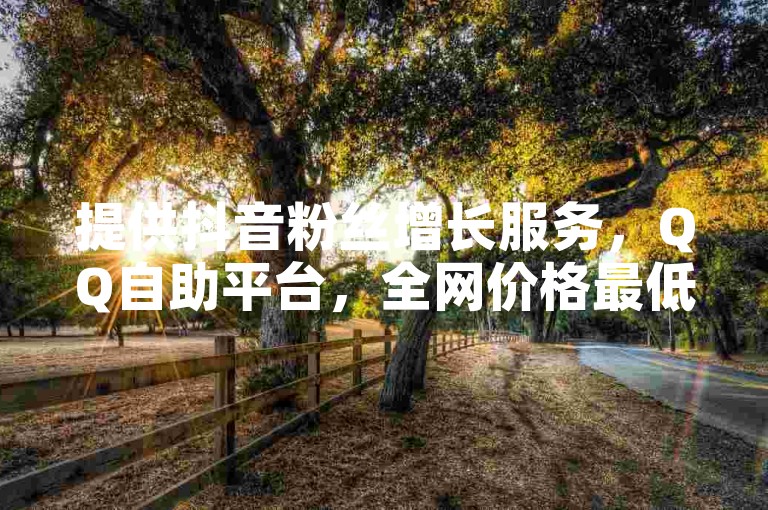 提供抖音粉丝增长服务，QQ自助平台，全网价格最低，快速提升您的抖音影响力。