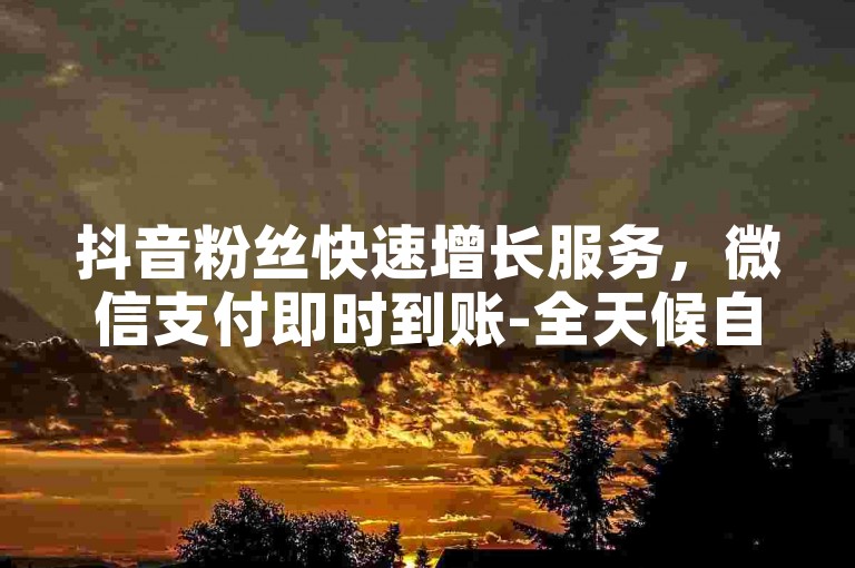抖音粉丝快速增长服务，微信支付即时到账-全天候自助平台，提供全网最优惠价格，仅需1元即可获得1000真实粉丝。