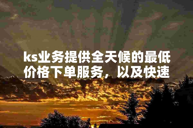 ks业务提供全天候的最低价格下单服务，以及快速实现每秒5000赞的下载功能。