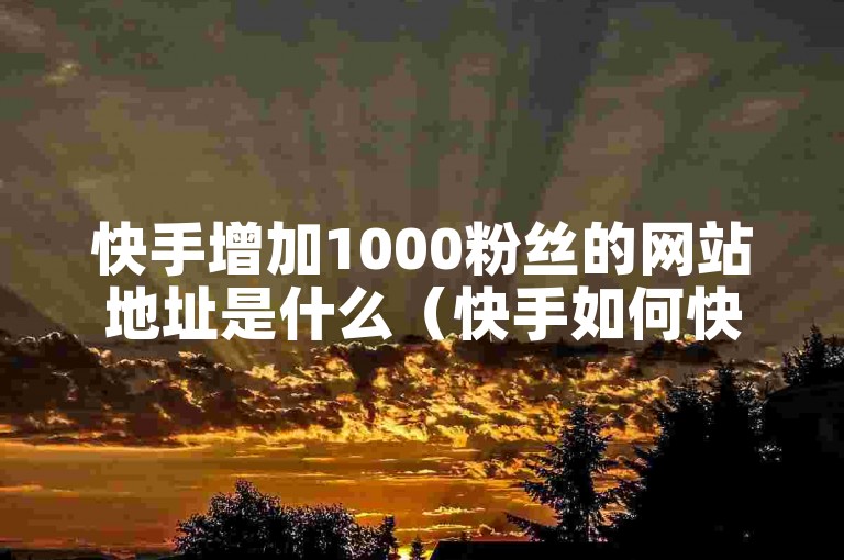 快手增加1000粉丝的网站地址是什么（快手如何快速获得1000个粉丝的有效策略有哪些）