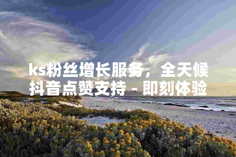 ks粉丝增长服务，全天候抖音点赞支持 - 即刻体验秒速点赞服务 - ks自助点赞平台。
