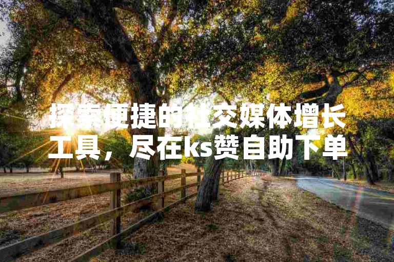 探索便捷的社交媒体增长工具，尽在ks赞自助下单平台，轻松获得小红书点赞与粉丝。