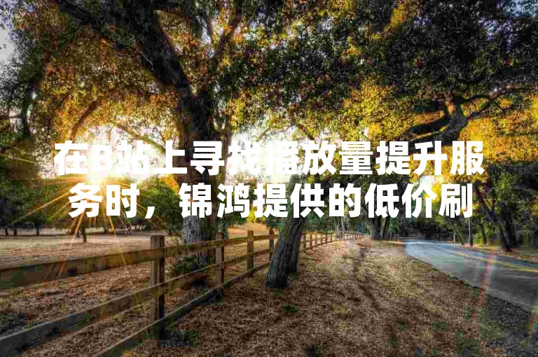 在B站上寻找播放量提升服务时，锦鸿提供的低价刷空间说说赞是一个值得考虑的选择。