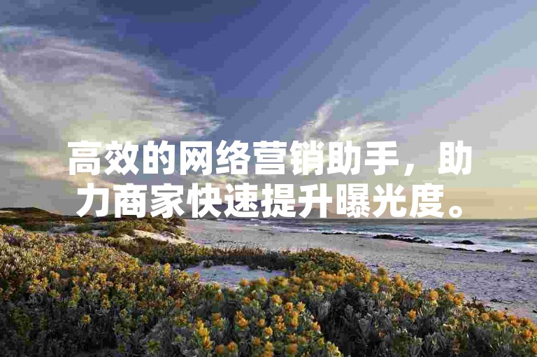 高效的网络营销助手，助力商家快速提升曝光度。