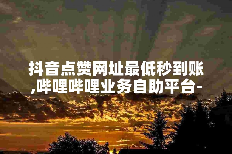 抖音点赞网址最低秒到账,哔哩哔哩业务自助平台-ks一元1000个赞秒到软件