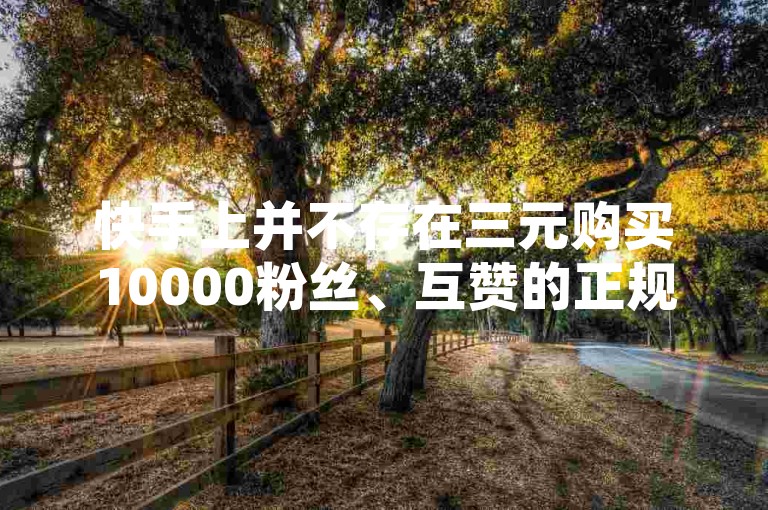 快手上并不存在三元购买10000粉丝、互赞的正规途径，这种通过非正规渠道购买粉丝量和互赞量的行为是违反平台规定且不道德的，会损害原作者的权益并破坏良好的创作环境。