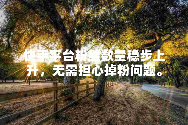 快手平台粉丝数量稳步上升，无需担心掉粉问题。