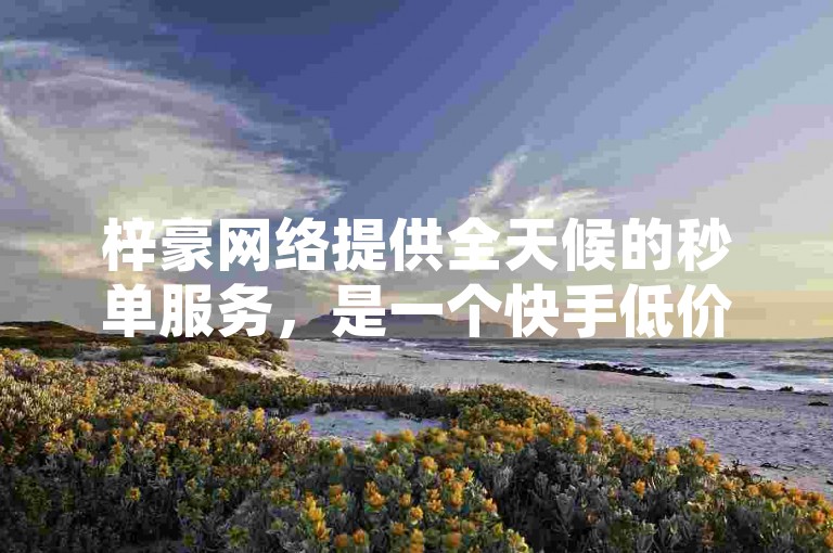 梓豪网络提供全天候的秒单服务，是一个快手低价24小时业务自助下单的便捷网站。