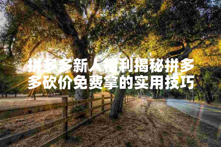 拼多多新人福利揭秘拼多多砍价免费拿的实用技巧与步骤。