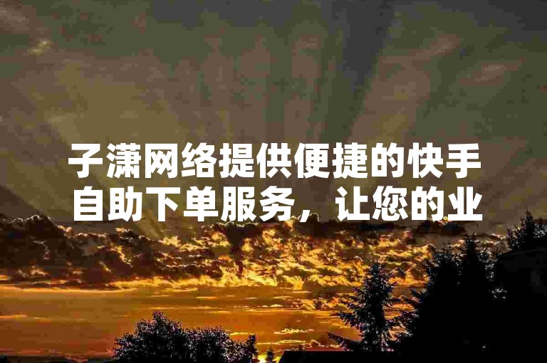 子潇网络提供便捷的快手自助下单服务，让您的业务处理更加高效。