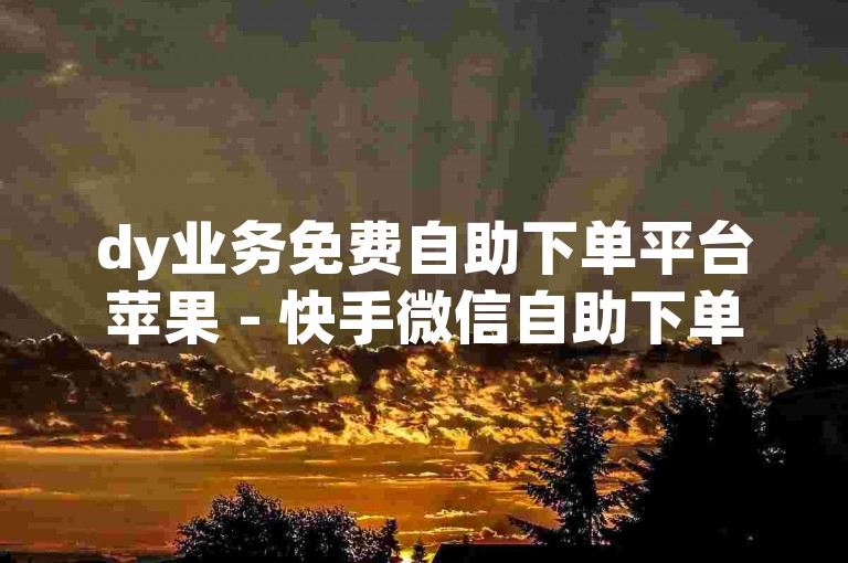 dy业务免费自助下单平台苹果 - 快手微信自助下单