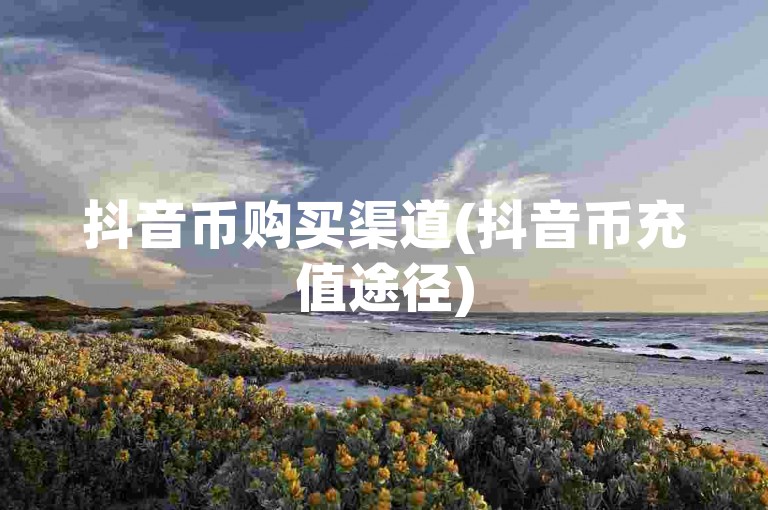 抖音币购买渠道(抖音币充值途径)