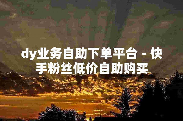 dy业务自助下单平台 - 快手粉丝低价自助购买