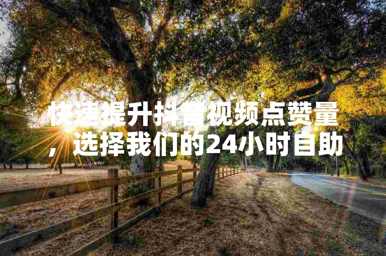 快速提升抖音视频点赞量，选择我们的24小时自助服务网站，江西用户专享免费秒刷双击体验。