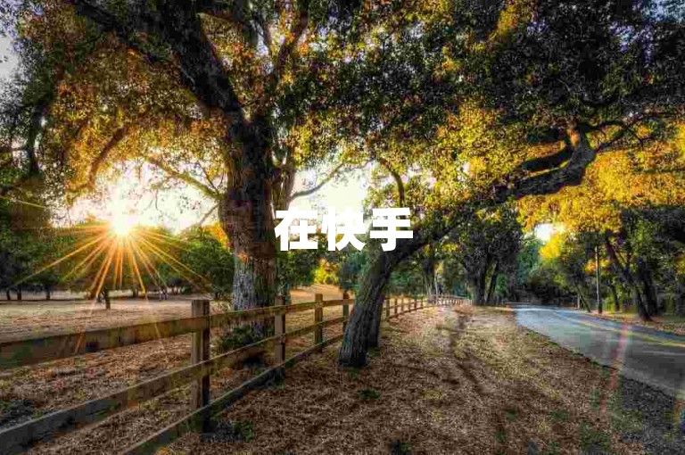 在快手5996交易平台上，用户可以轻松地为抖音视频点赞和积攒人气。