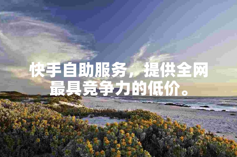 快手自助服务，提供全网最具竞争力的低价。