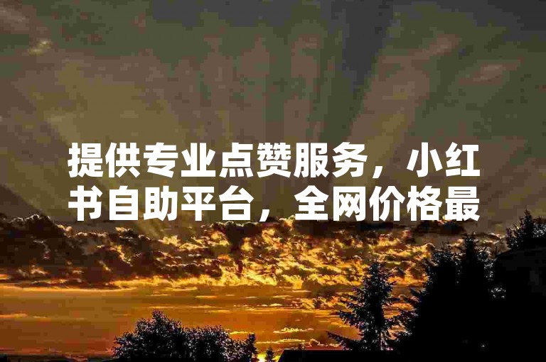 提供专业点赞服务，小红书自助平台，全网价格最优。