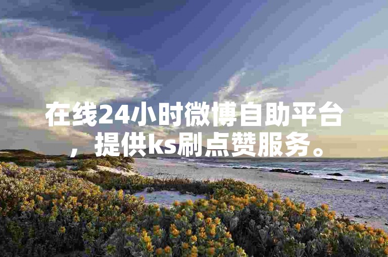 在线24小时微博自助平台，提供ks刷点赞服务。