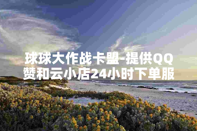 球球大作战卡盟-提供QQ赞和云小店24小时下单服务的平台。