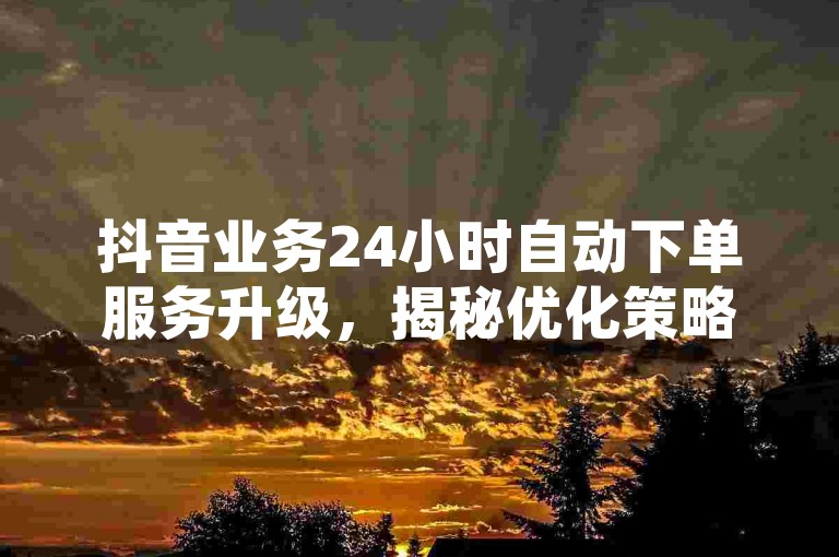 抖音业务24小时自动下单服务升级，揭秘优化策略，2025年必备技能！