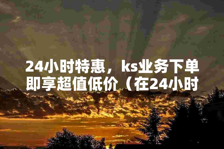 24小时特惠，ks业务下单即享超值低价（在24小时内下单ks业务，即可享受最低优惠价格）。