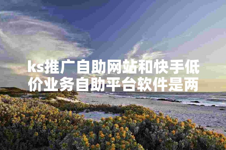 ks推广自助网站和快手低价业务自助平台软件是两种不同的网络服务工具。