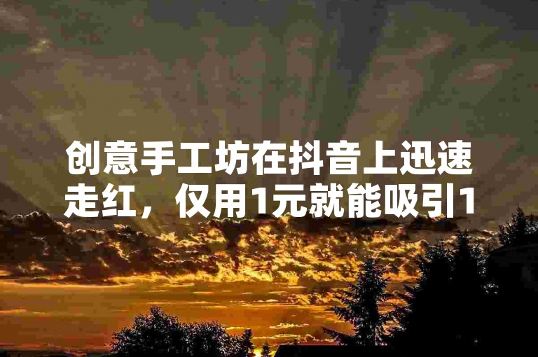 创意手工坊在抖音上迅速走红，仅用1元就能吸引100位新粉丝关注。