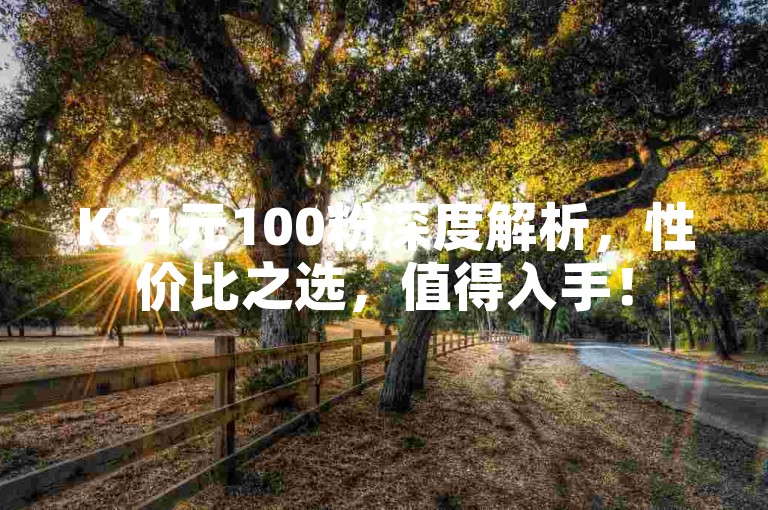 KS1元100粉深度解析，性价比之选，值得入手！